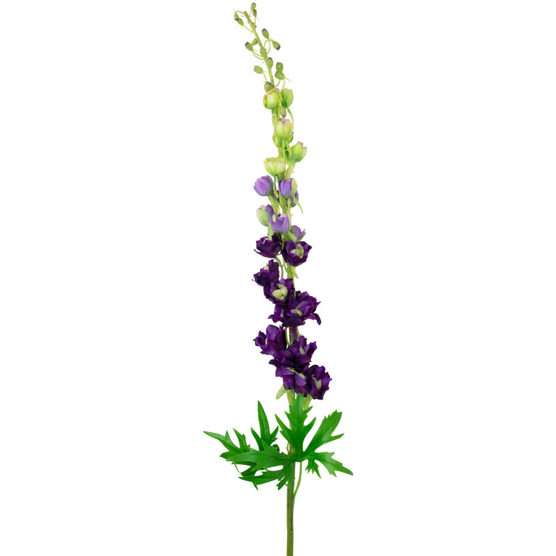 Tiges Delphinium, Mauve