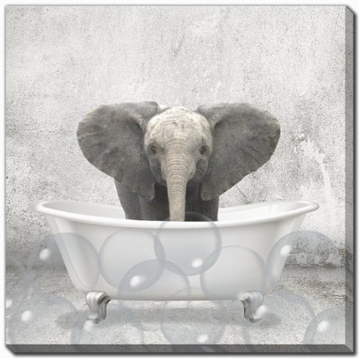 Baby Elephant Bath Canvas Wall Art