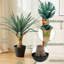 Plante d'agave artificielle gris-vert de 45 cm avec pot noir, fausse plante de yucca tropicale réaliste, agave artificielle protégée contre les UV pour la décoration intérieure et extérieure-425886001