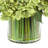 Hydrangeas and Buds in Glass Vase