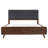 Platform Bed-1864647308