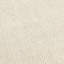 Cosi Area Rug in Ivory-857231336