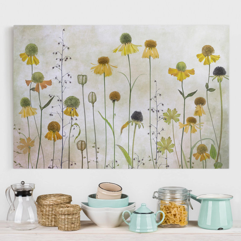 Delicate Helenium Flowers by Not An Artist - Wrapped Canvas Print, 260g/m² Canvas, 31cm H x 20cm W, Canvas