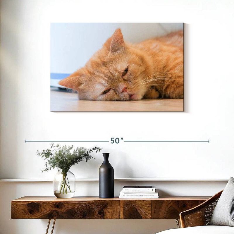 Crowle Sleeping Cat, 24" H x 36" W