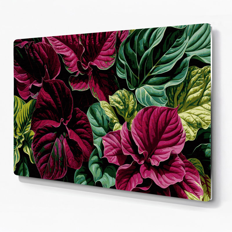 Art mural noir botanique Coleus