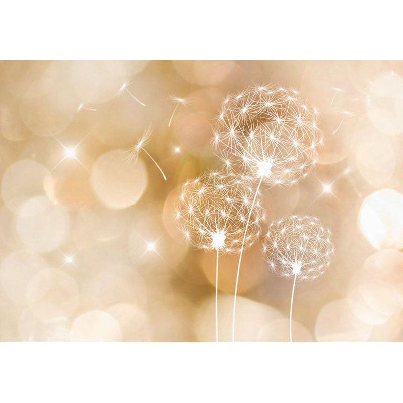 Peel & Stick Floral Wall Mural - Dandelions In The Summer, 41" L x 57" W