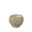 Camargo Surreal Vase-562655787
