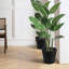 Kozyard pots de fleurs ronds d'intérieur 4Packs avec plateau récupérant l'eau pour le patio-1716788114-1716788113