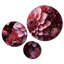 Plants & Flowers Wall Decor on Metal