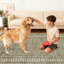 Tapis bordé lavable à la machine avec envers antidérapant Tapis antidérapant pour salon-858093385-858093392