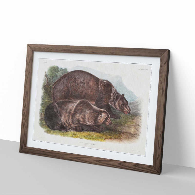 Grizzly Bears by J.W. Audubon - Picture Frame Painting Print, 36cm H x 48cm W x 2cm D, Walnut Framed