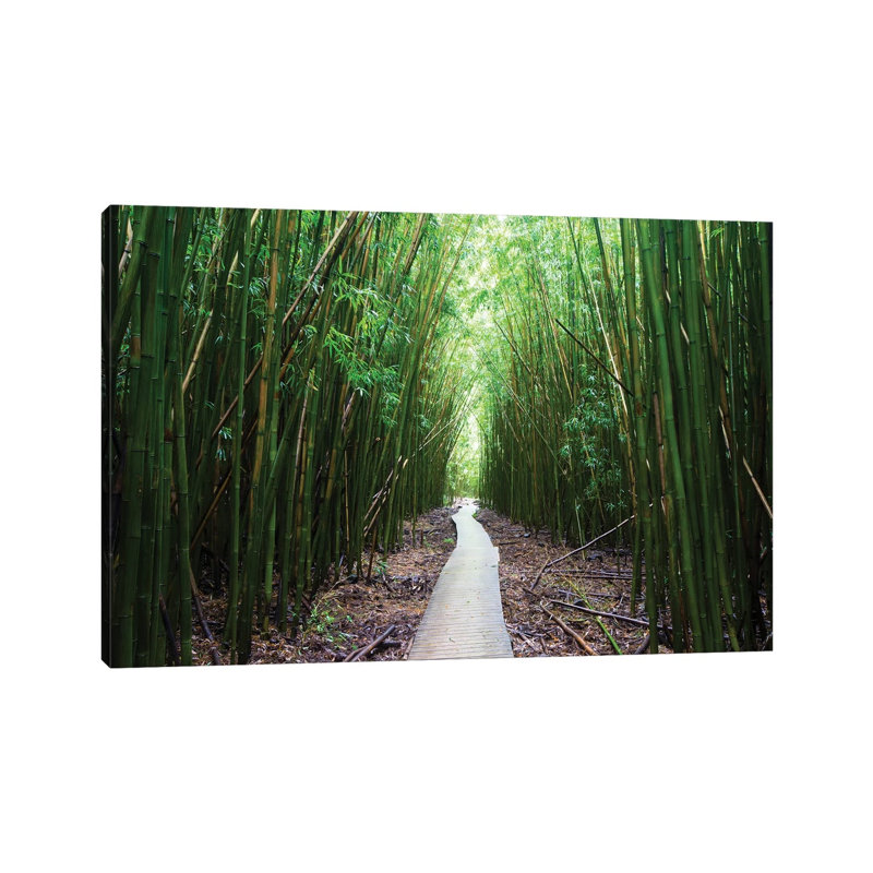Boardwalk Through Bamboo, Pipiwai Trail, Hakeakala National Park, Kipahulu, Hana Road, Maui, Hawaii, USA I by Panoramic Images - Wrapped Canvas Print