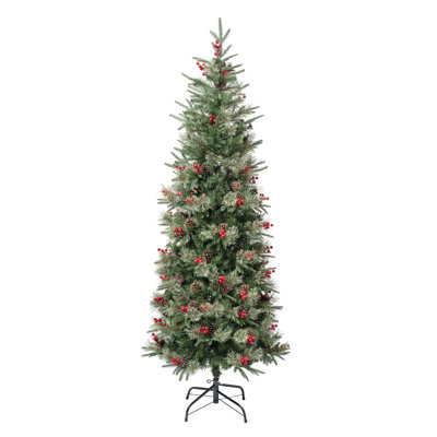 Virginia Pine Slim Tree
