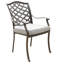 Annecorinne Outdoor Stacking Dining Armchair with Cushions-2051577903-2077415871