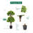 Artificial Potted Boxwood Double Ball Topiary 35in