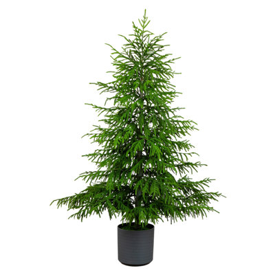 Pine Christmas Tree