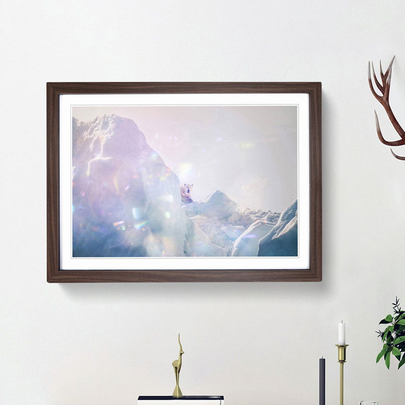 Polar Bear in the Wild - Picture Frame Photograph Print, 27cm H x 36cm W x 2cm D, Walnut Framed