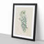 Illustration of Chinese Wisteria Flowers - Framed Print-55641537-55641544