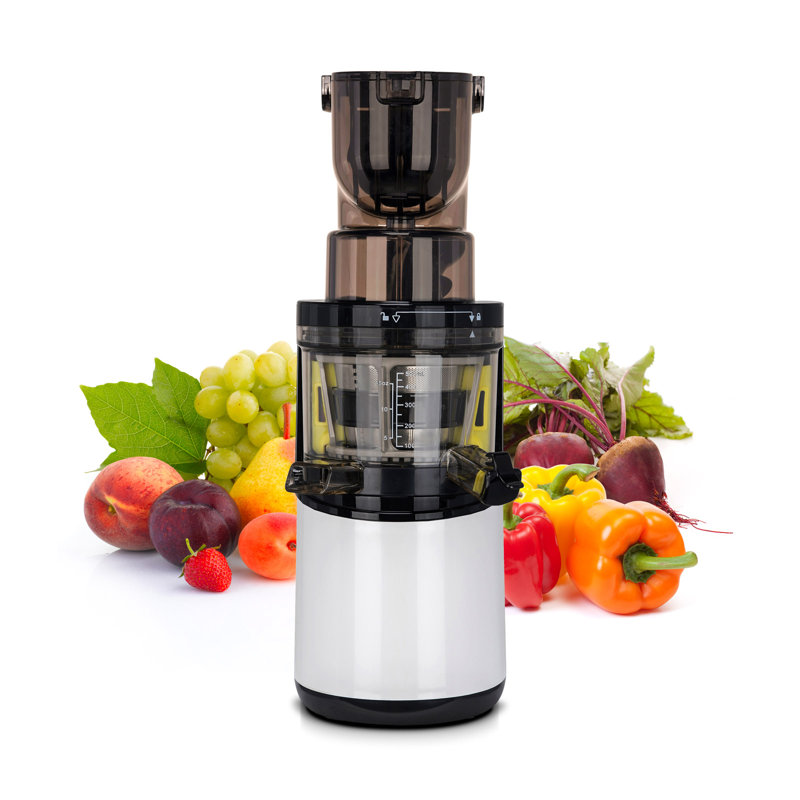 BioChef 400 Watt Electric Slow Masticating & Cold Press Juicer, White