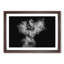 Cocker Spaniel in Abstract - Picture Frame Graphic Art Print-55684958-55684959