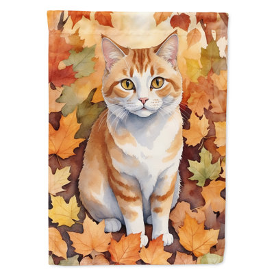 Chat en feuilles d'automne