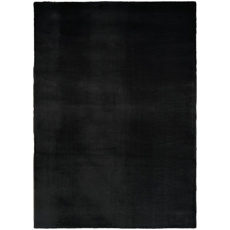 Maselli 5' x 7' Black Contemporary Indoor Rug, Rectangle 5' x 7'