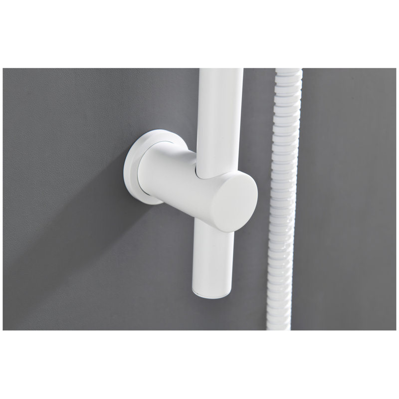 Barre de douche en acier inoxydable avec pomme de douche à main - Tuyau extra long de 69 pouces, rail d'appui réglable en hauteur pour une utilisation sécuritaire dans la salle de bain