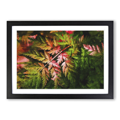 Fern Leaves Vol.2 - Framed Print