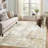 Modern Abstract Printed Area Rug Non-Slip Machine Washable Low Pile for Living Room Bedroom-2008530178-2008530176