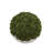 Sedum Arranged in a Stone Planter-774965369-774965254