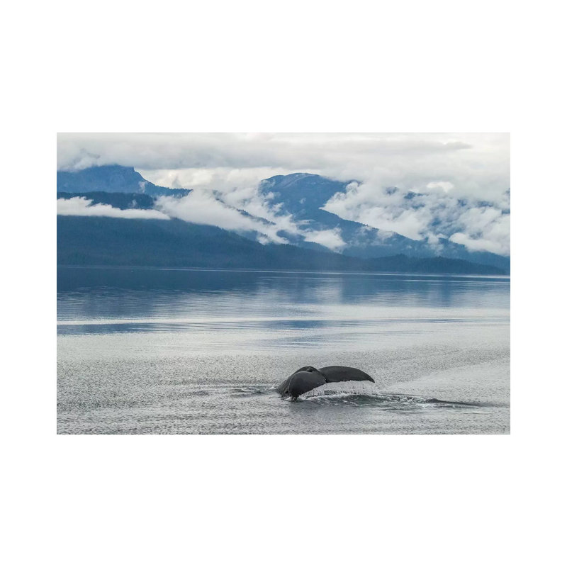 USA, Alaska, Tongass National Forest. Humpback Whale Diving by Jaynes Gallery - Wrapped Canvas Print