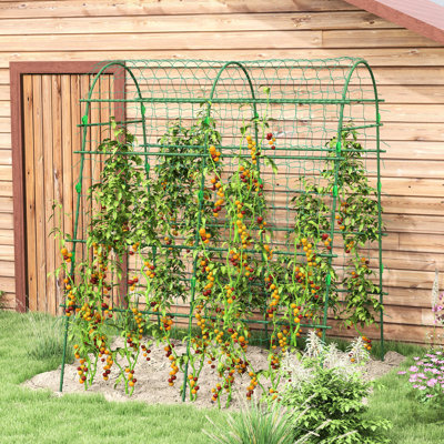 Cucumber Trellis, 6.8' Tall Arch Trellis For Outdoor Climbing Plants, Support Grapes, Peas And Other Fruit Vines 81" , With Plastic Coated Steel Frame, Suitable