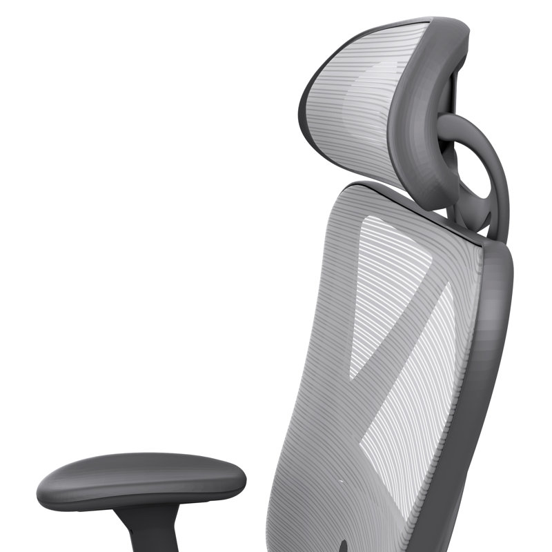Benjamyn Mesh Task Chair with Headrest, Gray