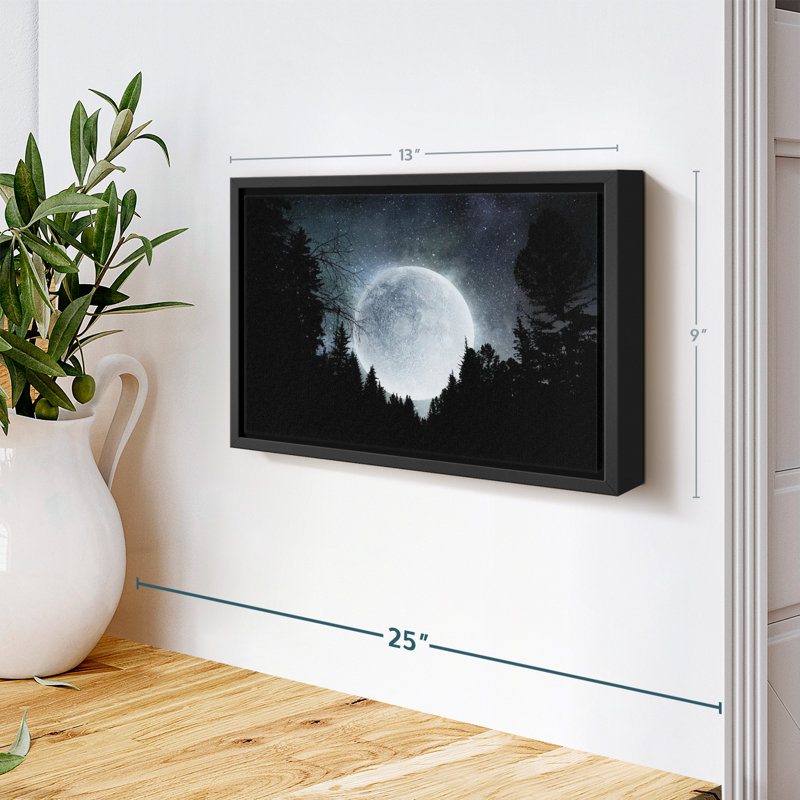 «Moon Outdoor Wall Art», H 9 po x l 13 po