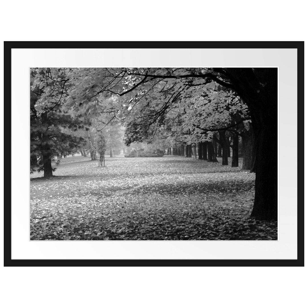 Gerahmtes Poster Schöner Park im Herbst