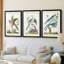 Pastel Birds IV - impression encadrée de qualité supérieure sur mesure mat - 3 pièces-1195610776-1195610759