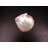 4'' x 4'' Hand Painted Natural Shell Listello