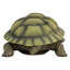 Statue de Gilbert, la tortue-boîte