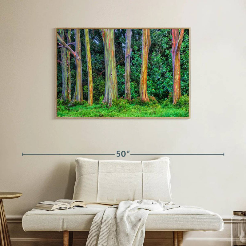 Eucalyptus arc-en-ciel, Cadre flottant en bois naturel, 40 po x 27 po
