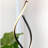 Embrace 66" LED Torchiere Floor Lamp-2072967658
