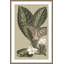 Botanical Jungle 3 Print-1781081064