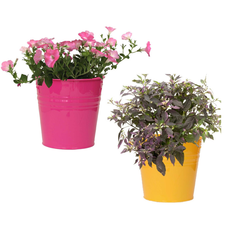 Enameled Galvanized Steel Planter For 6.5" Plants. Set Of Two, Pink/Yellow