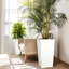 Plant Support-733360012