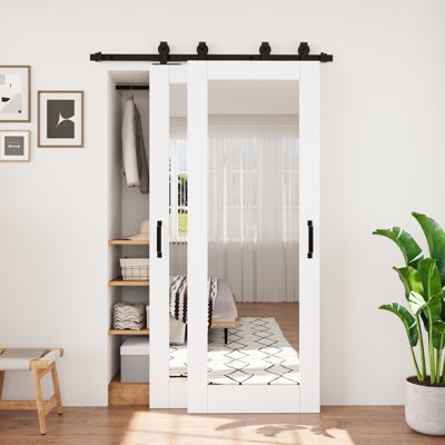 No Assembly Required Panel, Bypass Mirrored Barn Door Double Sliding White Finished Solid + Manufactured Wood Closet Pantry Doors with Installation Hardware