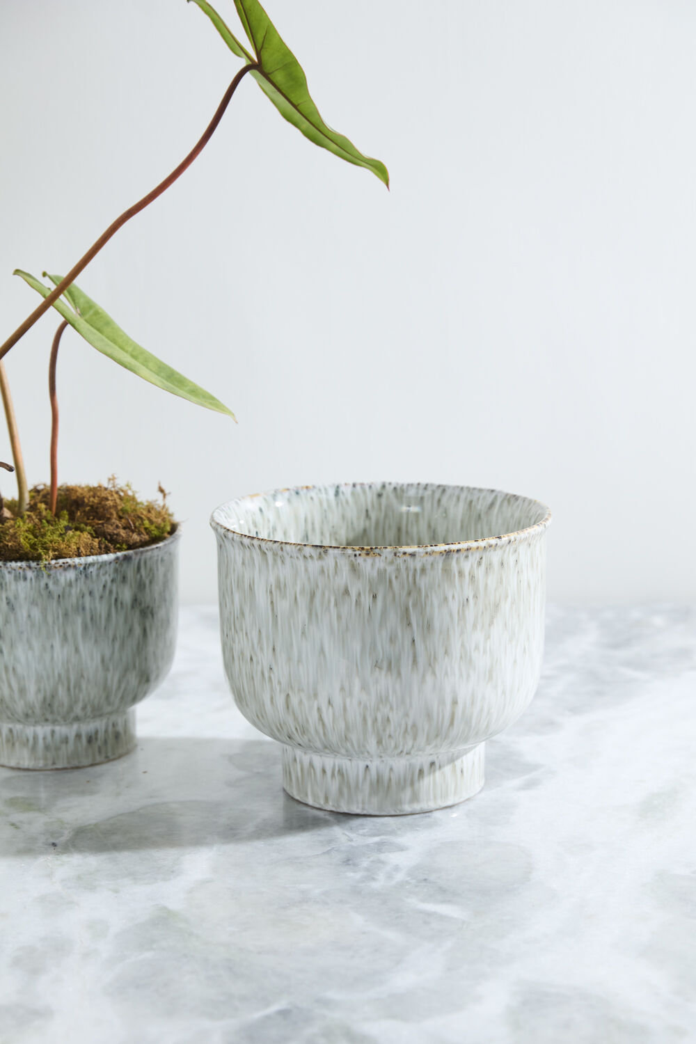 Hayden Pot, 8" H x 9.5" W x 9.5" D