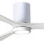 Irene LED Ceiling Fan-98977005-24425152-99192944