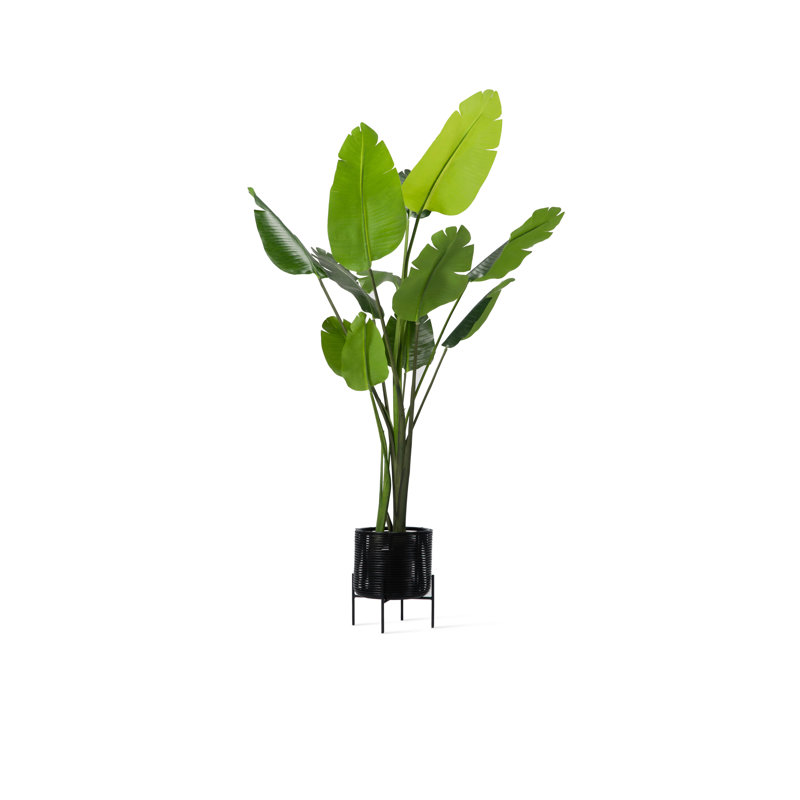 Ivo Plant Stand