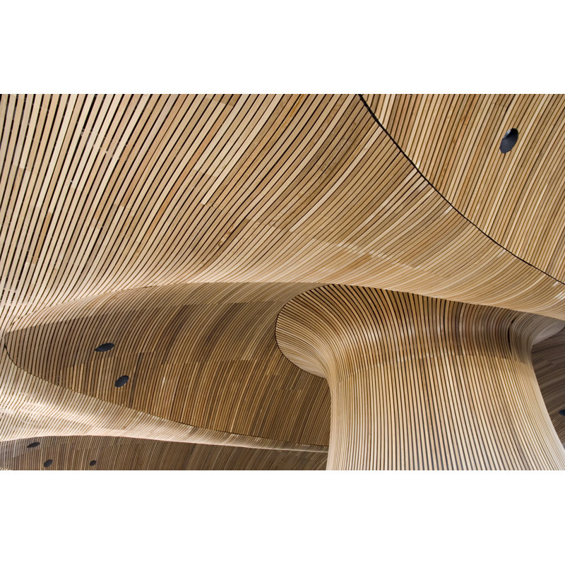 Ceiling Of Welsh - Wrapped Canvas Print, 30cm H x 46cm W