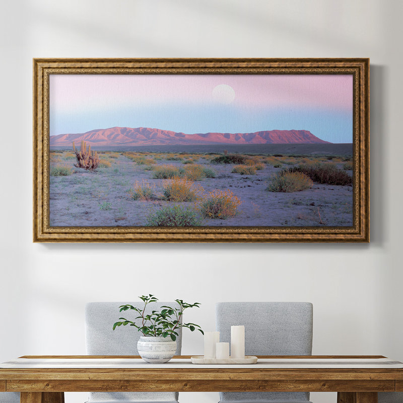 «Vallenar Atacama Desert», reproduction d'un seul cadre photo sur toile, H 21 po x l 37 po x P 1 po