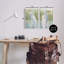 «Stupell Industries Egrets in Marshland», ensemble de 2 toiles murales par Grace Popp-91322264